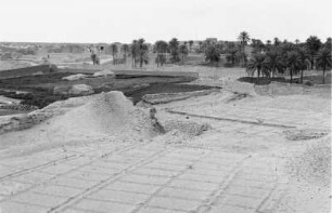 Felder vor Gadames : Blick auf Felder vor der Wüstenstadt Gadames