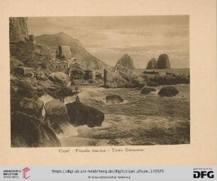 Capri - Piccola marina - Torre Saracena