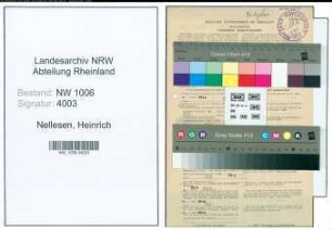 Entnazifizierung Heinrich Nellesen , geb. 10.01.1906 (Landwirt)