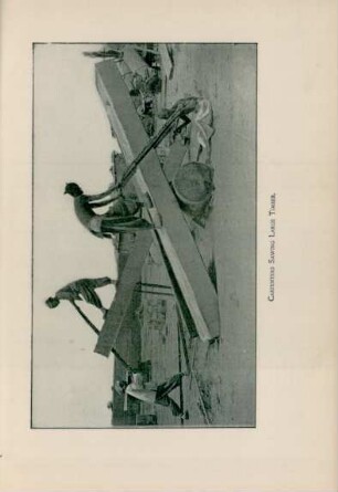 Carpenters sawing large timber