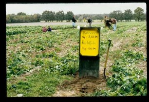 Gatow 20.10.84.