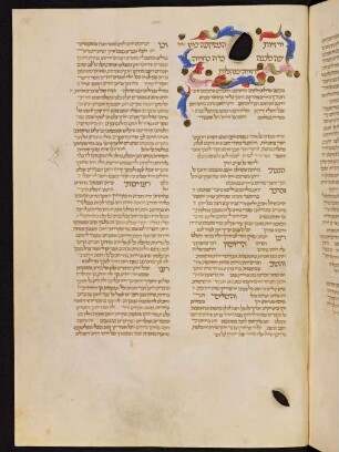 Brief über Astrologie an einen Gelehrten aus Montpellier