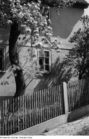 Blick auf die Fassade eines Hauses, mit einem blühenden Obstbaum davor