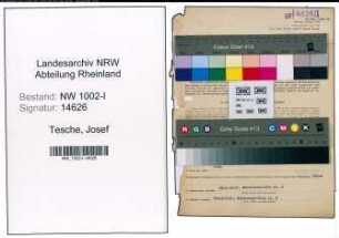 Entnazifizierung Josef Tesche, geb. 14.02.1899 (Kuechenmeister)