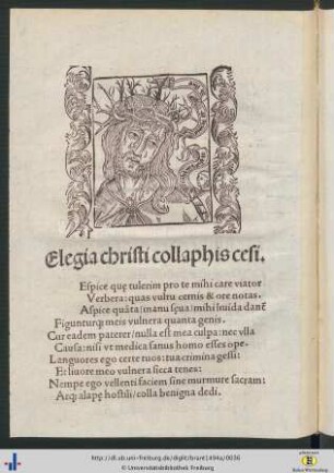 Elegia christi collaphis cesi