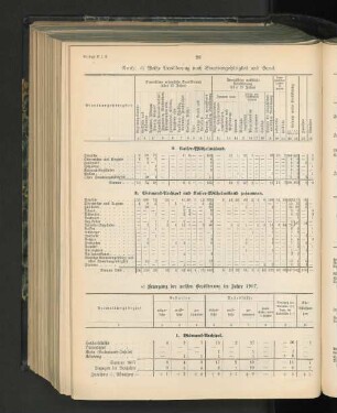 e) Bewegung der weißen Bevölkerung im Jahre 1907.