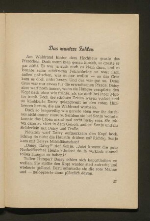 Das muntere Fohlen
