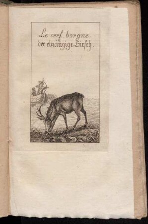 Le cerf borgne. = der einäugige Hirsch.