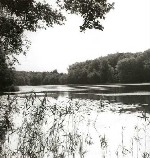 Mecklenburger Seenplatte. Dollgowsee (Rinnensee) nordwestlich Rheinsberg