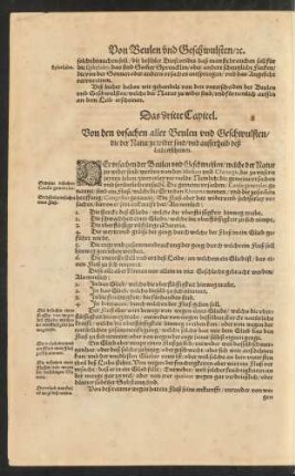 Ds dritte Capitel.