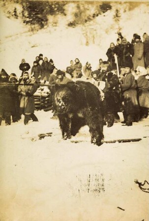 Bärenkult der Ainu (Sammlung Bronislaw Pilsudski, 1887-1905 - Bärenkult der Ainu)