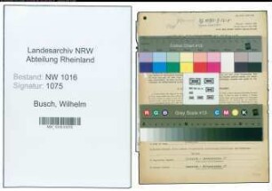 Entnazifizierung Wilhelm Busch , geb. 09.09.1900 (Bankdirektor)