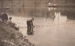 Riesa-Gröba, Fischer beim Hafenfischen