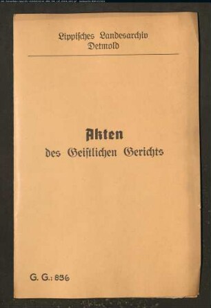 Anna Ilsabein Hellmeyer, Lage gegen Johann Jörgen Riecken zu Hagen, wegen einer Eheklage