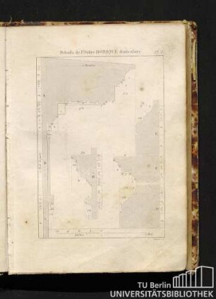 Pl. 8. Détails de l'Ordre Dorique denticulaire.