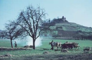 Staufen. Blick zur Burgruine Staufen