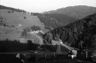 Serpentine und Kühe mit Landschaft bei Stohren