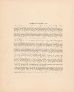 Explanation of plate VIII.