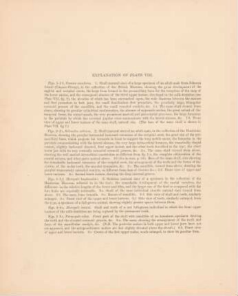 Explanation of plate VIII.