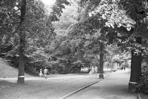 Spaziergang auf dem Lauterberg.