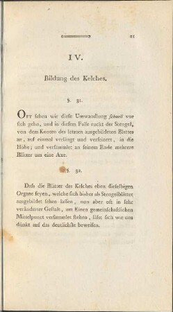 IV. Bildung des Kelches.