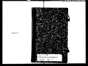 Dresdner Hoftagebücher (Serie B), 1917
