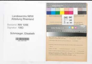 Entnazifizierung Elisabeth Schmoeger , geb. 08.09.1912 (Lehrerin)
