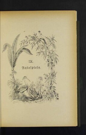 IX. Ratespiele.