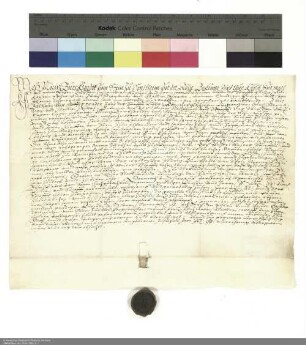 Revers Moritz Burkhards vom Stein zu Sondheim vor der Rhön bezüglich der Belehnung mit einem Hof in Rannungen durch Balthasar [von Dernbach], Abt von Fulda