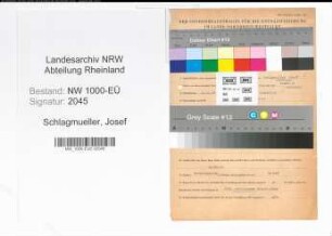 Entnazifizierung Josef Schlagmueller, geb. 20.11.1898 (Zimmermann)
