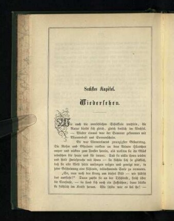 Sechstes Kapitel: Wiedersehen
