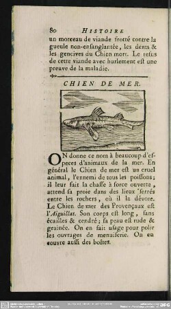 Chien De Mer