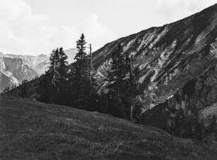 Im Gebirge : Blick von einer Bergkuppe auf ein Gebirge mit einem Wald in einem Tal