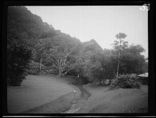 Penang (Malaysia): Botanischer Garten mit einem Bach