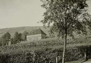 Schloss Hoflößnitz : Radebeul. Schloss Hoflößnitz