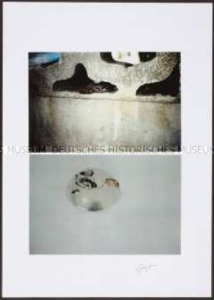 Doppelbild: Kröte und Insekten (Altersgruppe 18-21)