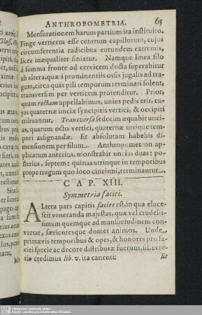 XIII. Symmetria faciei