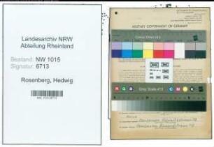 Entnazifizierung Hedwig Rosenberg , geb. 01.07.1905 (Kauffrau)