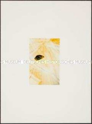 Auge (Sonderthema: Anders leben)