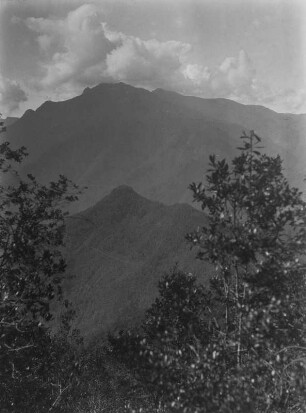Bergkämme : Blick auf bewaldete Bergkämme.