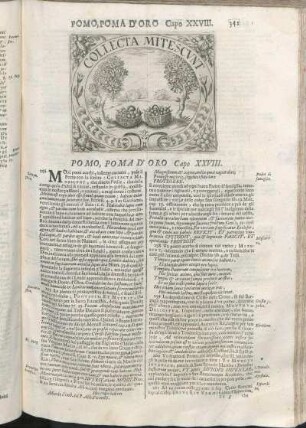 Pomo, Poma D'Oro Capo XXVIII.