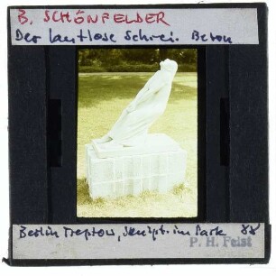 Schönfelder, Der lautlose Schrei