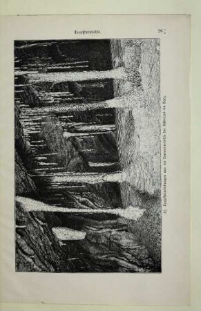 42. Tropfsteinbildungen aus der Hermannshöhle bei Rübeland im Harz