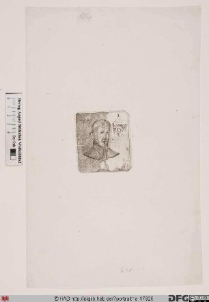 Bildnis Johann Rom