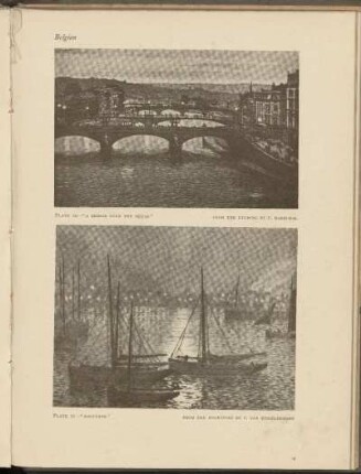 Abbildungen [Pl. 10 - 13]