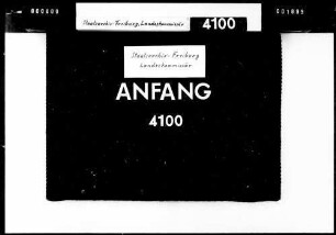 Höherlegung der Landstraße Nr. 161 im Binninger Ried