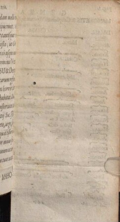 Genealogia Mahometis & Calipharum Veterum in Arabia ex Ismael deducta juxta computationem Saraceno-Turcicam.