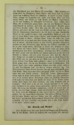 56. Storch und Reiher
