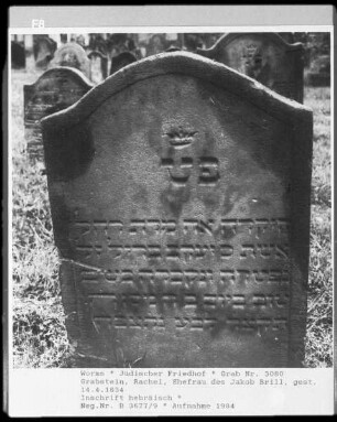 Grabstein der Rachel, Ehefrau des Jakob Brill (gestorben 1834.04.14)