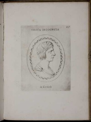 Testa Incognita